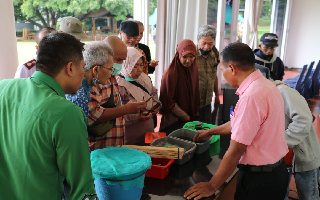 MBKM TK UNPAR: Pengembangan produk dari maggot