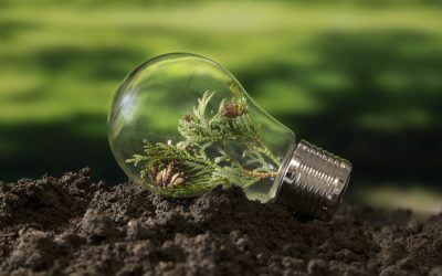 Sustainable Chemical Engineering Technology